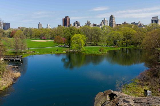 view from Belvedere Castle